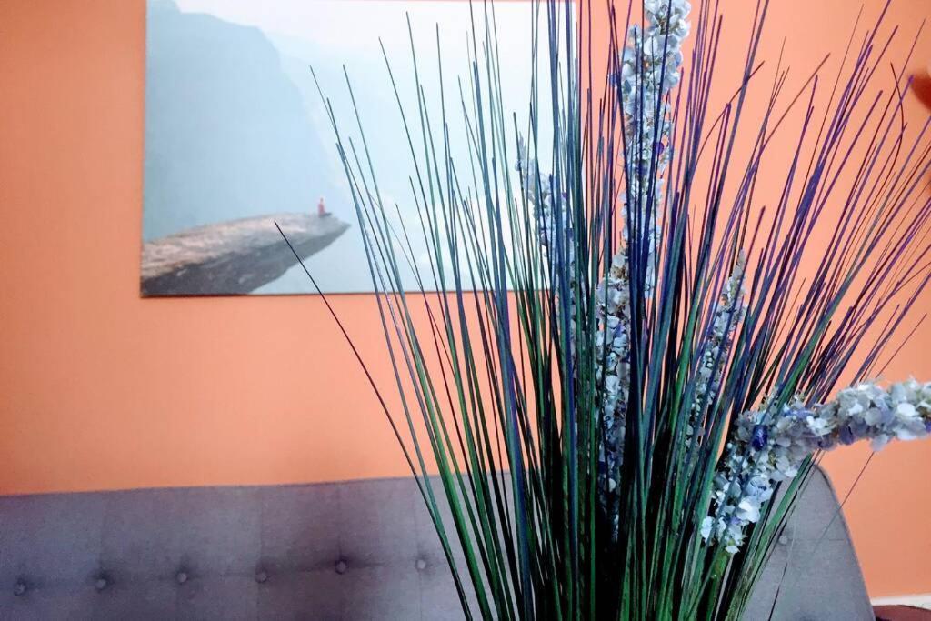 Apartamento 6 De Mayo Ronda Luaran gambar